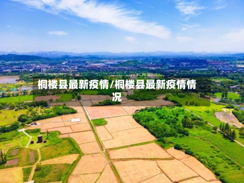 桐楼县最新疫情/桐楼县最新疫情情况-第1张图片