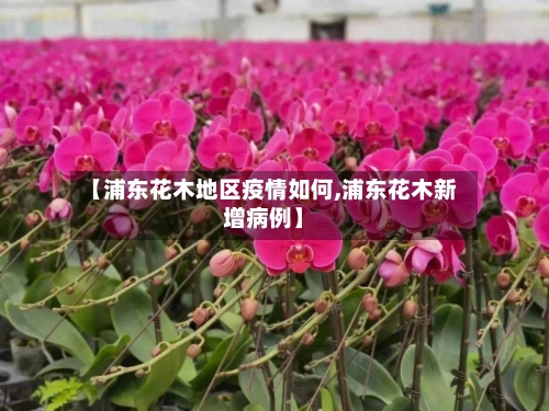 【浦东花木地区疫情如何,浦东花木新增病例】-第3张图片