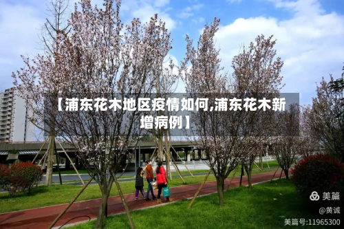 【浦东花木地区疫情如何,浦东花木新增病例】-第2张图片