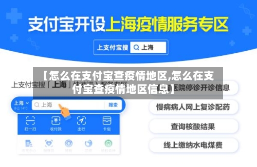 【怎么在支付宝查疫情地区,怎么在支付宝查疫情地区信息】-第2张图片