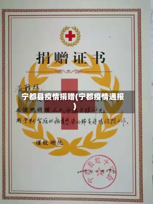 宁都县疫情捐赠(宁都疫情通报)-第2张图片