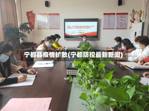 宁都县疫情扩散(宁都防控最新新闻)-第3张图片