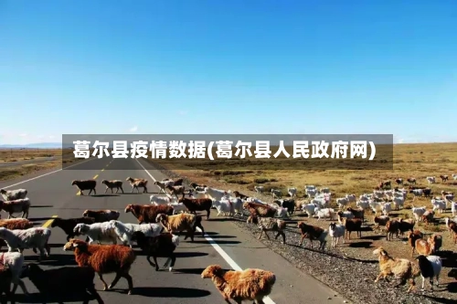 葛尔县疫情数据(葛尔县人民政府网)-第2张图片