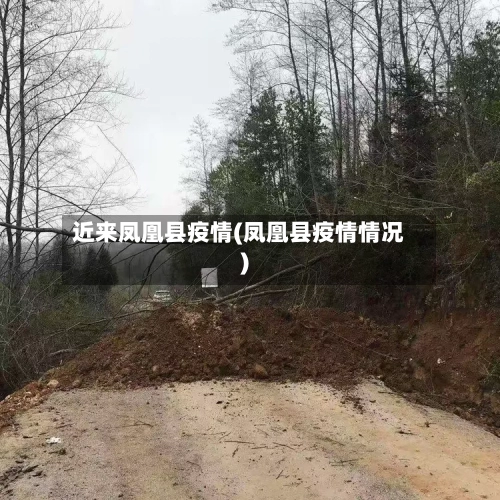 近来凤凰县疫情(凤凰县疫情情况)-第3张图片