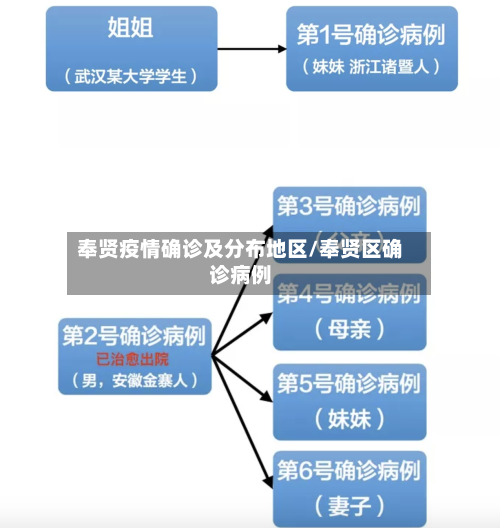 奉贤疫情确诊及分布地区/奉贤区确诊病例-第3张图片