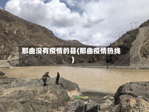 那曲没有疫情的县(那曲疫情热线)-第2张图片