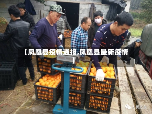 【凤凰县疫情通报,凤凰县最新疫情】-第3张图片