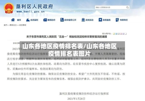 山东各地区疫情排名表/山东各地区疫情排名表图片-第1张图片